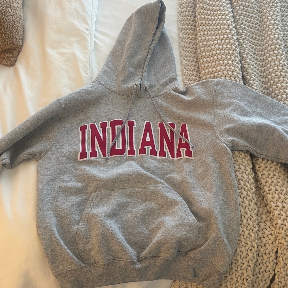Champion Gray Hoodie with Red Lettering (from Indiana bookstore on campus)